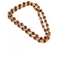 5 Mukhi Rudraksha Mala  Gold Plated 54 Beads