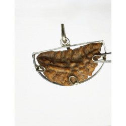 1 Face/Mukhi Certified Rudraksha Silver Pendant