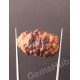 1 Face/Mukhi Certified Rudraksha Premium Quality