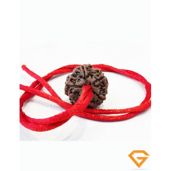 5 Mukhi Natural Certified Rudraksha Pendant Size- 21.70 mm Premium Quality