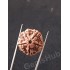 5 Mukhi Natural Certified Rudraksha Size- 20.1 mm Premium Quality