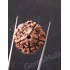 5 Mukhi Natural Certified Rudraksha Size- 21.6 mm Premium Quality