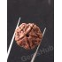 5 Mukhi Certified Nepali Rudraksha 