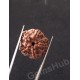 5 Mukhi Certified Nepali Rudraksha 