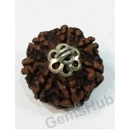 7 Mukhi Certified Nepali Rudraksha Pendant Silver (Chandi) Capping