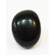 Black Shaligram For Vishnu Pooja