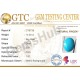 15.08 ratti (13.58 ct) Natural Certified Feroza/Turquoise 15.08 ratti (13.58 ct) Natural Certified Feroza/Turquoise