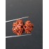 GauriShankar Rudraksha Certified (Nepal Origin) Size-25.30 mm