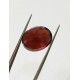 19.80 ratti (17.82 ct) Natural Hessonite Gomed Certified 19.80 ratti (17.82 ct) Natural Hessonite Gomed Certified
