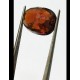 7.25 ratti (6.50 ct) Natural Hessonite Ceylon Gomed Certified 7.25 ratti (6.50 ct) Natural Hessonite Ceylon Gomed Certified