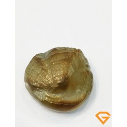 Machmani Stone, मकरधवज रत्न, मछ मणि, Muktamani, Weight 4.070 gm