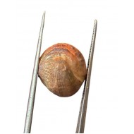 Machmani Stone, मकरधवज रत्न, मछ मणि, Muktamani, Weight - 11 to 12 ct