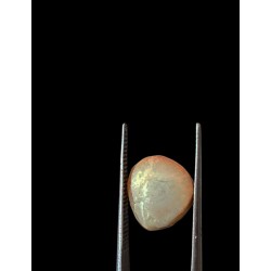 Machmani Stone, मकरधवज रत्न, मछ मणि, Muktamani, Weight  5.00 ct 