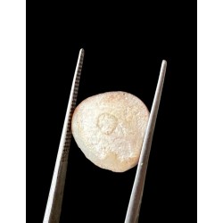 Machmani Stone, मकरधवज रत्न, मछ मणि, Muktamani, Weight  7.00 ct