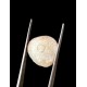 Machmani Stone, मकरधवज रत्न, मछ मणि, Muktamani, Weight  7.00 ct