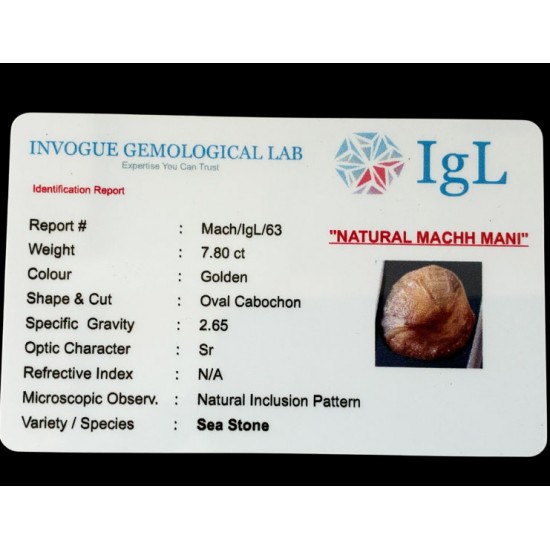 Machmani Stone, मकरधवज रत्न, मछ मणि, Muktamani, Weight  7.00 ct