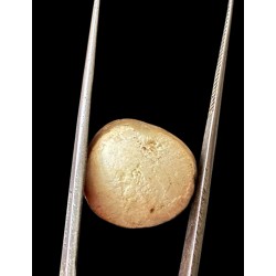 Machmani Stone, मकरधवज रत्न, मछ मणि, Muktamani, Weight - 17.10 ct
