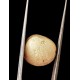 Machmani Stone, मकरधवज रत्न, मछ मणि, Muktamani, Weight - 17.10 ct
