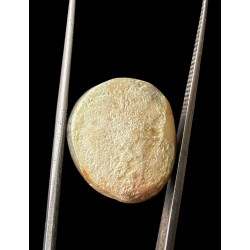 Machmani Stone, मकरधवज रत्न, मछ मणि, Muktamani, Weight  17.90 ct  