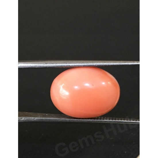 6.15 ct  Natural Certified Japanese Moonga/Coral