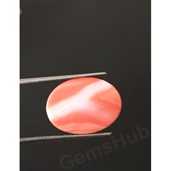 6.22 ct  Natural Certified Japanese Moonga/Coral