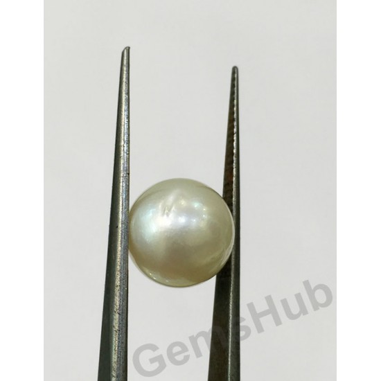 South Sea Pearl - 5.84 ct (6.50 ratti)