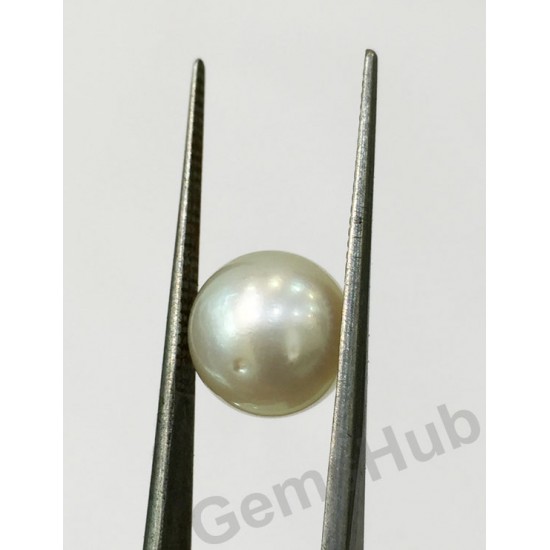 South Sea Pearl - 5.84 ct (6.50 ratti)