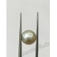 South Sea Pearl - 5.35 ct (6.00 ratti)