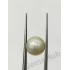 South Sea Pearl - 5.92 ct (6.50 ratti)