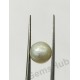 South Sea Pearl - 5.92 ct (6.50 ratti)