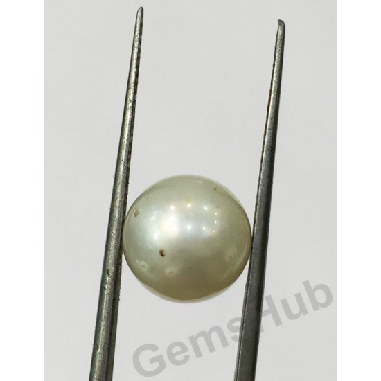 South Sea Pearl - 5.92 ct (6.50 ratti)