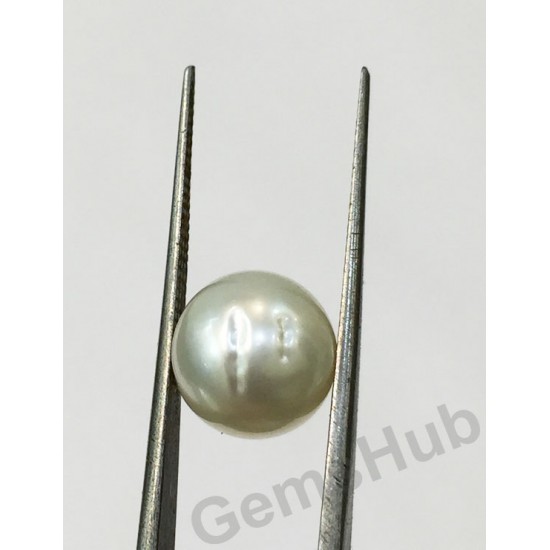 South Sea Pearl - 6.50 ct (7.25 ratti)