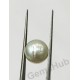 South Sea Pearl - 6.50 ct (7.25 ratti)