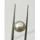 South Sea Pearl - 6.18 ct (6.90 ratti)