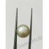 South Sea Pearl - 6.95 ct (7.50 ratti)