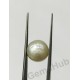 South Sea Pearl - 6.95 ct (7.50 ratti)