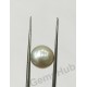 South Sea Pearl - 6.95 ct (7.50 ratti)