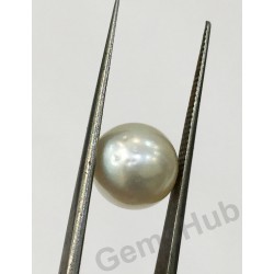 South Sea Pearl - 7.06 ct (7.90 ratti)