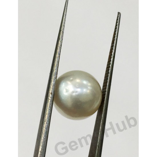 South Sea Pearl - 7.06 ct (7.90 ratti)