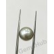 South Sea Pearl - 8.07 ct (9.00 ratti)