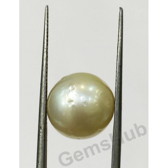 South Sea Pearl - 8.72 ct (9.60 ratti)