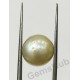 South Sea Pearl - 8.72 ct (9.60 ratti)