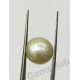 South Sea Pearl - 8.72 ct (9.60 ratti)