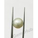 South Sea Pearl - 9.66 ct (10.65 ratti)