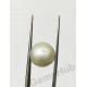 South Sea Pearl - 10.93 ct (12.25 ratti)