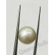 South Sea Pearl - 10.93 ct (12.25 ratti)