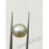 South Sea Pearl - 10.76 ct (12.00 ratti)