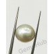 South Sea Pearl - 10.76 ct (12.00 ratti)