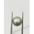 South Sea Pearl - 10.10 ct (11.22 ratti)