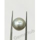 South Sea Pearl - 10.10 ct (11.22 ratti)